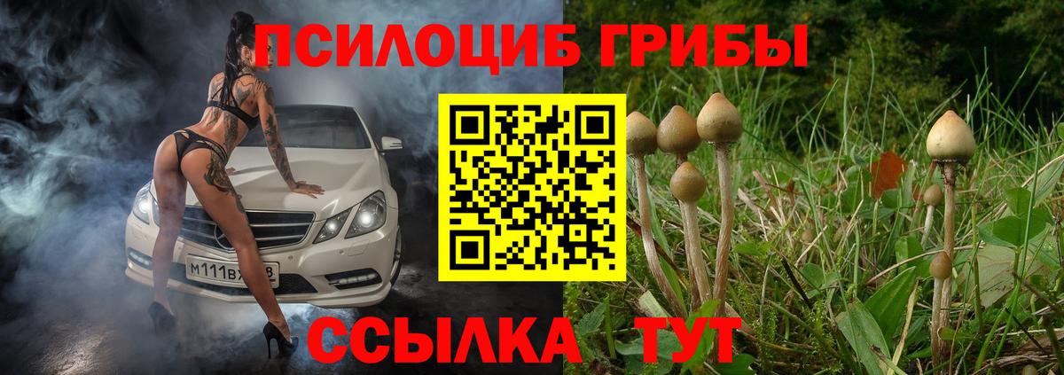 Тверь  Галлюциногенные грибы ЛСД  Вход с VPN 