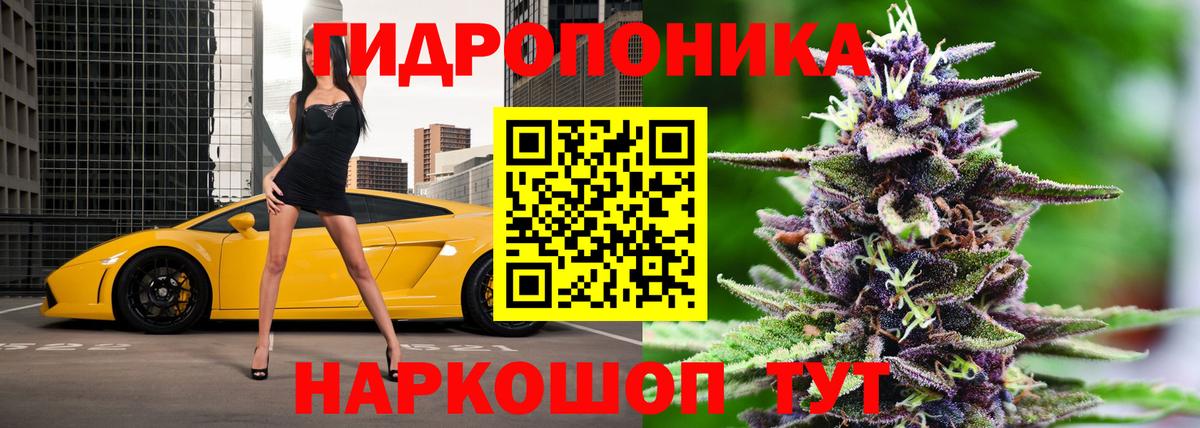 Бошки марихуана план Тверь
